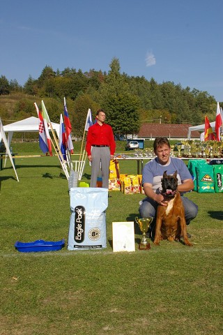 www.boxer-show.eu